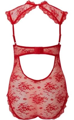 Discount π€© Killstar Dark Desire Lace Bodysuit | Scarlet π€© 7 Discount π€© Killstar Dark Desire Lace Bodysuit | Scarlet π€© -Gothic-clothing Shop Dark Desire Lace Bodysuit Scarlet Killstar 4 650x